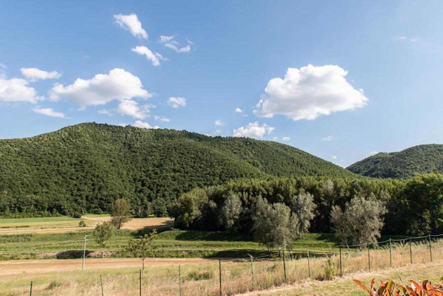 Il Colombaio Agriturismo Montegabbione Kültér fotó