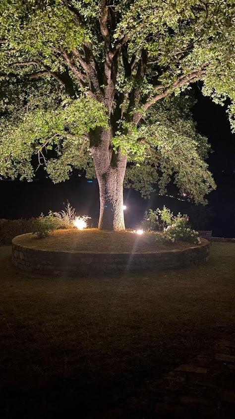 Il Colombaio Agriturismo Montegabbione Kültér fotó