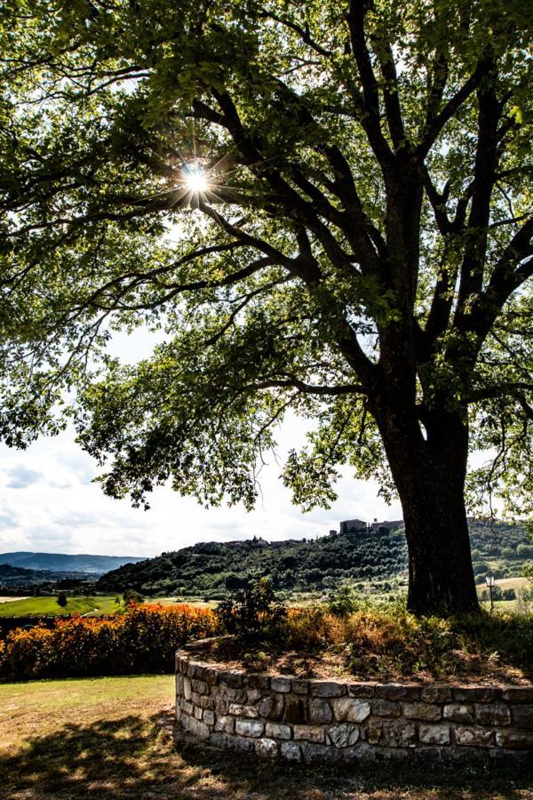 Il Colombaio Agriturismo Montegabbione Kültér fotó